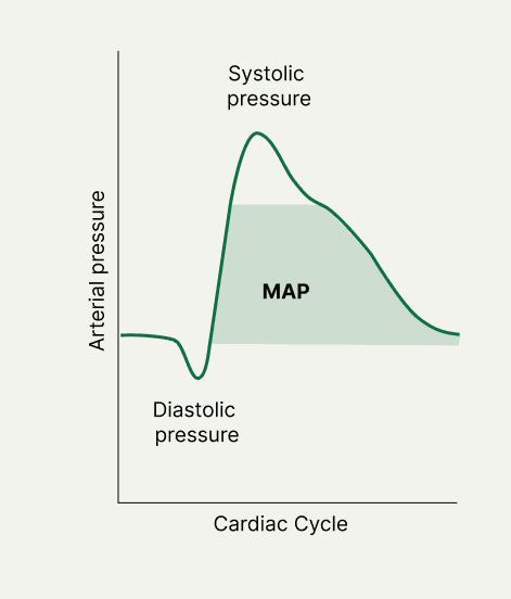 Arterial Pressure Waveform Diagram showing systolic, diastolic, and mean arterial pressure (MAP) over the cardiac cycle.