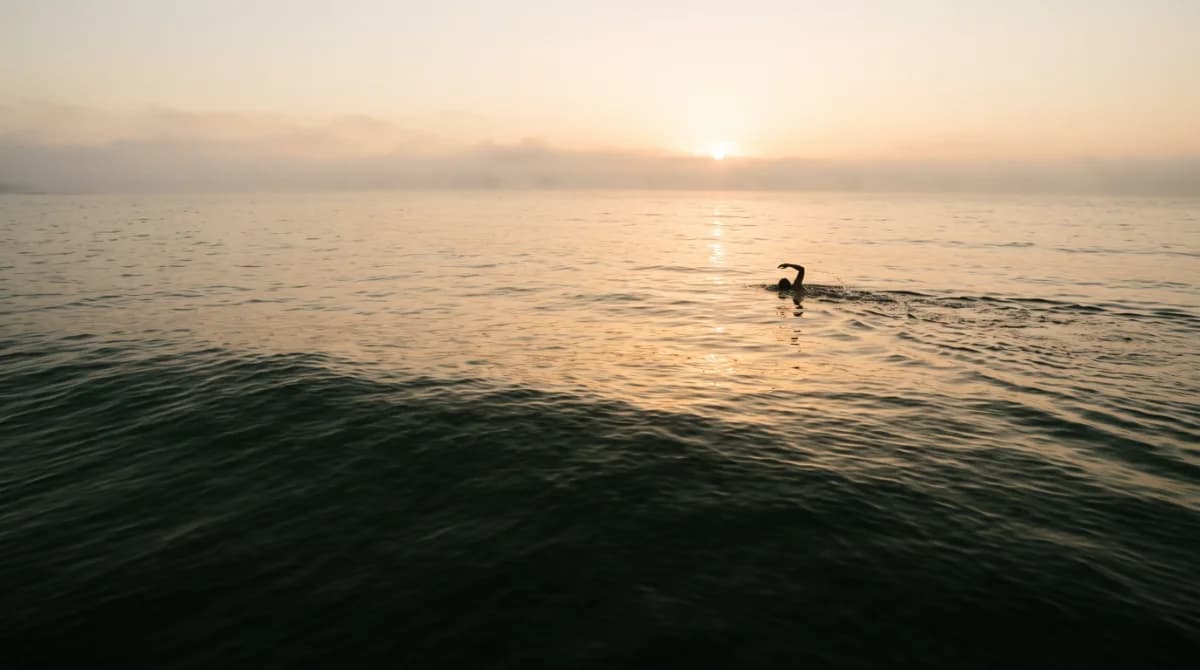 A swimmer crossing open water at sunrise